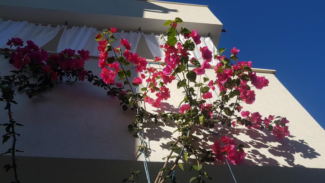 Mina Apartments أوكغوك غورنيي المظهر الخارجي الصورة